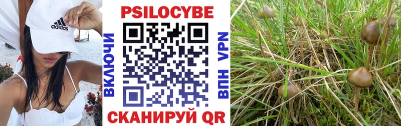 Купить  Полтавская  Псилоцибиновые грибы мицелий 